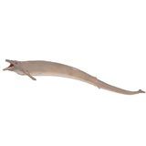 COLLECTA - DINOS - Basilosaurus, 88797