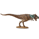 COLLECTA - DINOS - T-Rex Hunting, 88742