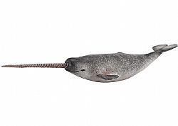 COLLECTA - OCEAN - Narwhal, 88615