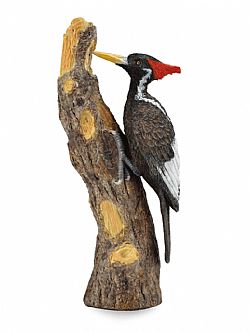 COLLECTA - WILD - Ivory-Billed Woodpecker, 88802