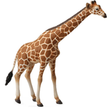 COLLECTA - WILD - Reticulated Giraffe, 88534