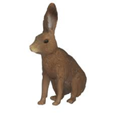 COLLECTA - WILD - Brown Hare, 88012