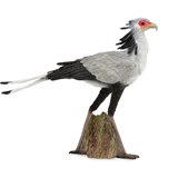 COLLECTA - WILD - Secretary Bird, 88796