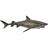 COLLECTA - OCEAN - Tiger Shark, 88661