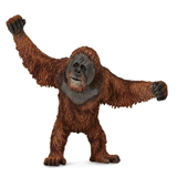 COLLECTA - WILD - Orangutan, 88730