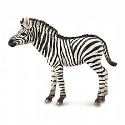 COLLECTA - WILD - Zebra Foal, 88850