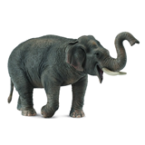 COLLECTA - WILD - Asian Elephant, 88486