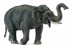 COLLECTA - WILD - Asian Elephant, 88486