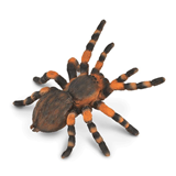 COLLECTA - INSECTS - Mexican Redknee Tarantula, 88338