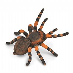 COLLECTA - INSECTS - Mexican Redknee Tarantula, 88338