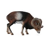 COLLECTA - WILD - European Mouflon, 88682