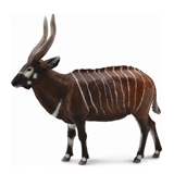 COLLECTA - WILD - Bongo Antelope, 88809