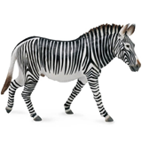 COLLECTA - WILD - Grevys Zebra, 88773