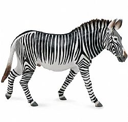 COLLECTA - WILD - Grevys Zebra, 88773