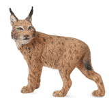 COLLECTA - WILD - Lynx, 88565