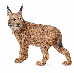 COLLECTA - WILD - Lynx, 88565