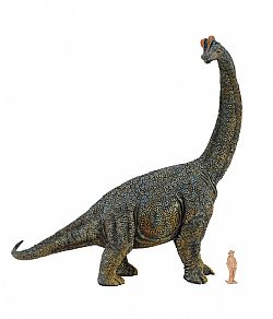 COLLECTA - DINOS - 1:40 Brachiosaurus, 88405