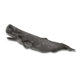 COLLECTA - OCEAN - Sperm Whale, 88835