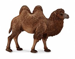 COLLECTA - WILD - Bactrian Camel, 88807