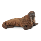 COLLECTA - WILD - Walrus, 88569