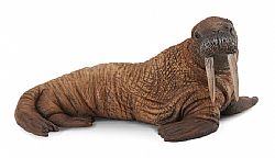 COLLECTA - WILD - Walrus, 88569