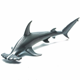 COLLECTA - OCEAN - Scalloped Hammerhead Shark, 88045