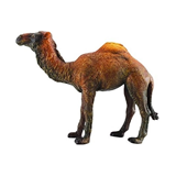 COLLECTA - WILD - Dromedary Camel, 88208