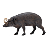 COLLECTA - WILD - Babirusa, 88727