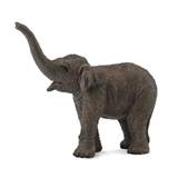 COLLECTA - WILD - Asian Elephant Calf, 88487