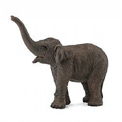 COLLECTA - WILD - Asian Elephant Calf, 88487