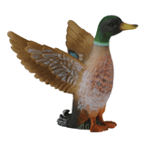 COLLECTA - WILD - Mallard Duck Male, 88378