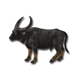 COLLECTA - WILD - Wild Water Buffalo, 88657