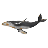 COLLECTA - OCEAN - Hampbuck Whale, 88347