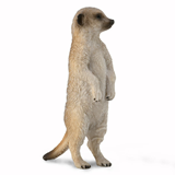 COLLECTA - WILD - Meerkat, 88913