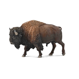 COLLECTA - WILD - American Bison, 88968