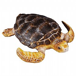 COLLECTA - OCEAN - Loggerhead Turtle, 88094