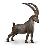 COLLECTA - WILD - Alpine Ibex, 80020