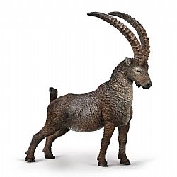 COLLECTA - WILD - Alpine Ibex, 80020