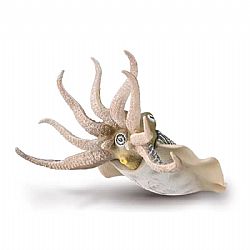 COLLECTA - OCEAN - Common Cuttlefish, 80009